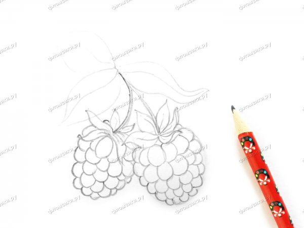 Поэтапное рисование малины