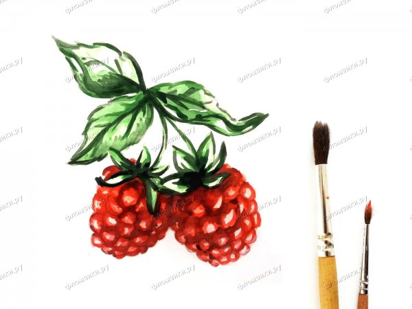 Как рисовать малину по порядку