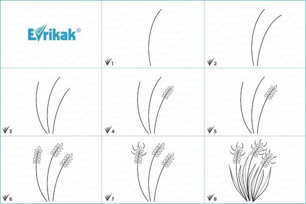 Поэтапное рисование Колоса