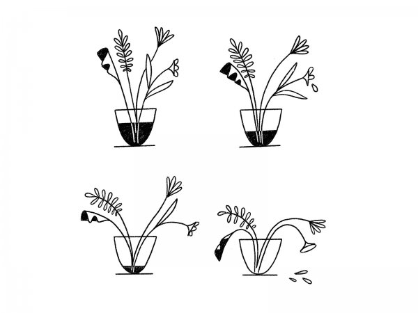 Поэтапное рисование одуванчика