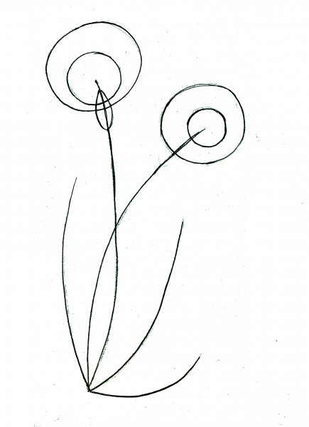 Травянистые растения