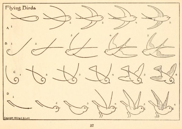 Нарисовать ласточку поэтапно