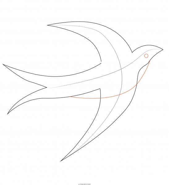 Ласточка рисунок карандашом