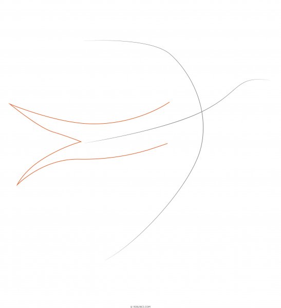 Поэтапный рисунок ласточки