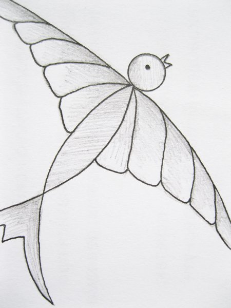 Как нарисовать ласточку карандашом