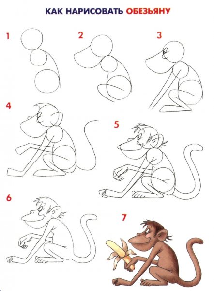 Как нарисовать обезьяну