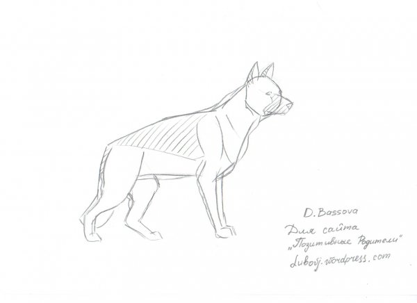 Немецкая овчарка рисунок поэтапно