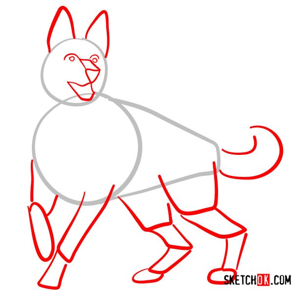 Схема рисование овчарка для детей