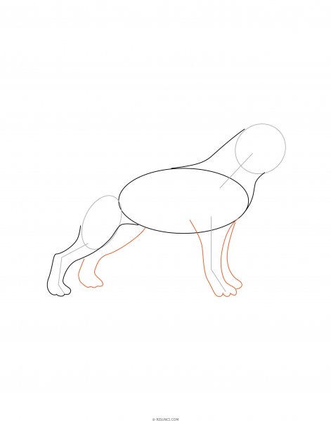 Поэтапное рисование щенка овчарки