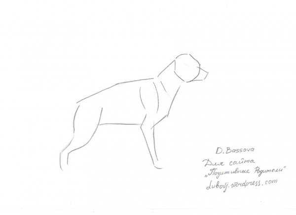 Немецкая овчарка рисунок поэтапно