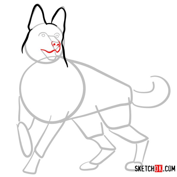 Как нарисовать овчарку на войне поэтапно