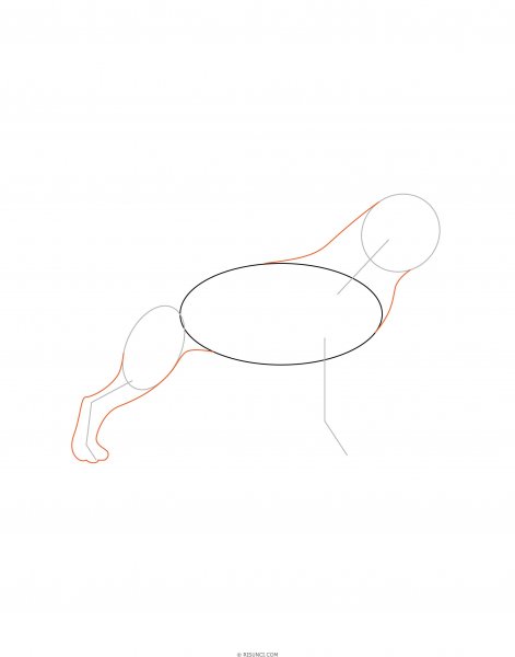 Поэтапное рисование немецкой овчарки