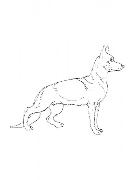 Раскраска собака овчарка