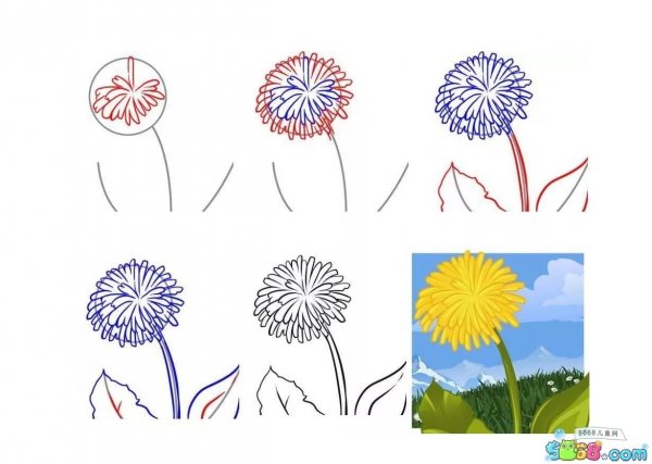 Поэтапное рисование одуванчика