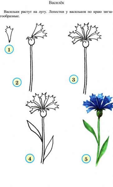 Схемы рисования цветов