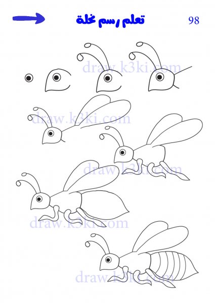 Поэтапное рисование насекомых для дошкольников
