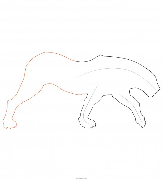 Нарисовать пантеру карандашом поэтапно