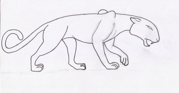 Пантера рисунок карандашом для детей