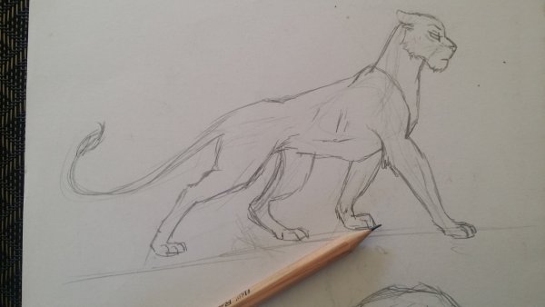 Рисунки карандашом для начинающих