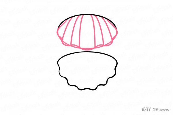 Поэтапное рисование Жемчужины