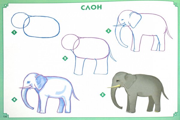 Как нарисовать слона поэтапно