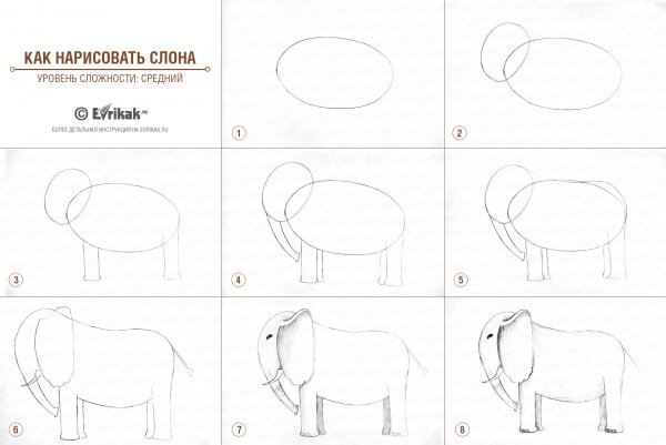 Поэтапное рисование слона 4 класс