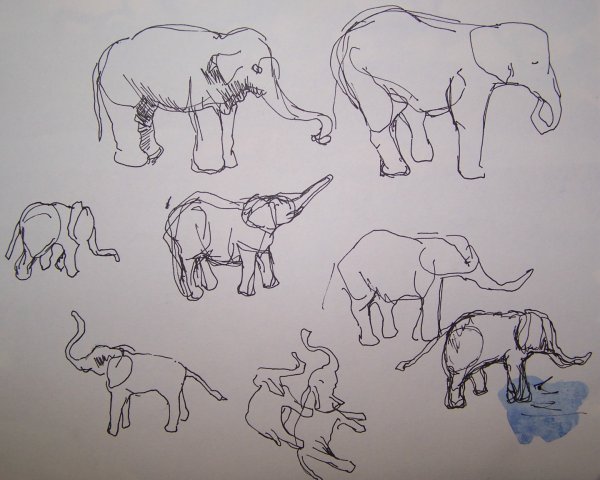 Этапы рисования слона