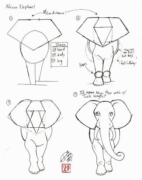 Поэтапное рисование слона