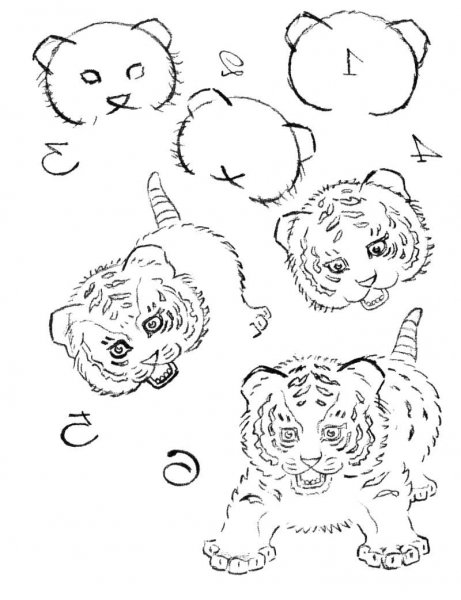 Рисунок тигренка карандашом для детей