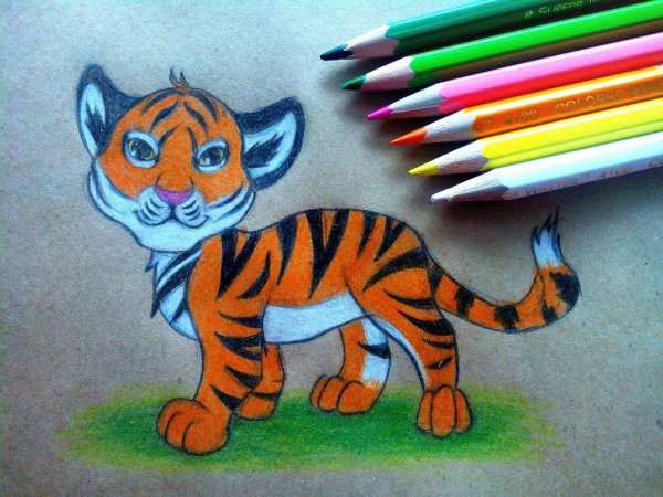 Нарисовать тигра