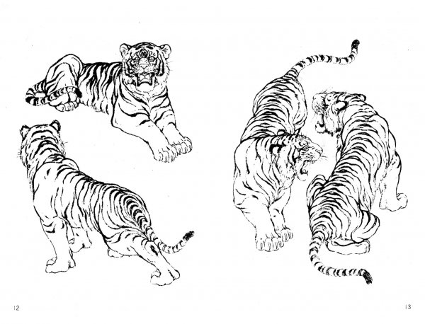 Тигр рисунок карандашом для детей