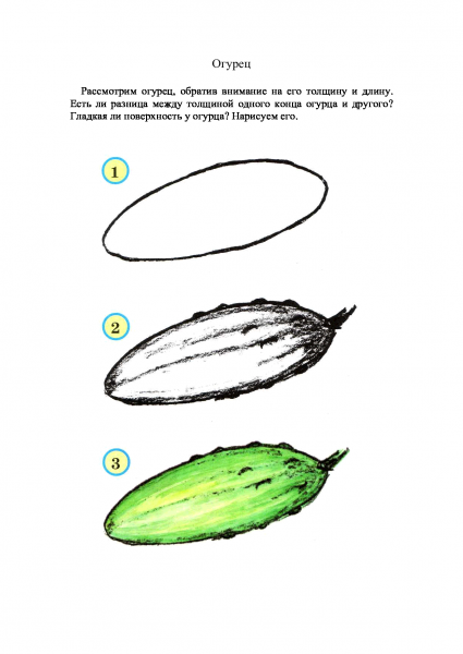 Урок рисования овощи