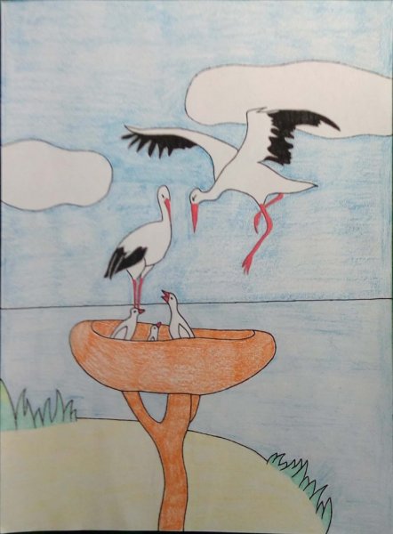 Журавль алгоритм нарисования