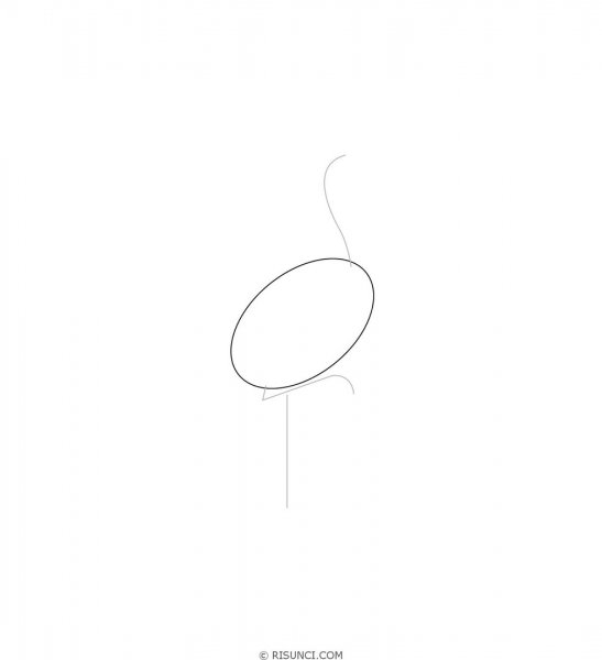 Наброски аиста карандашом