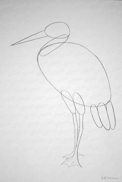 Аист с ребенком раскраска для детей