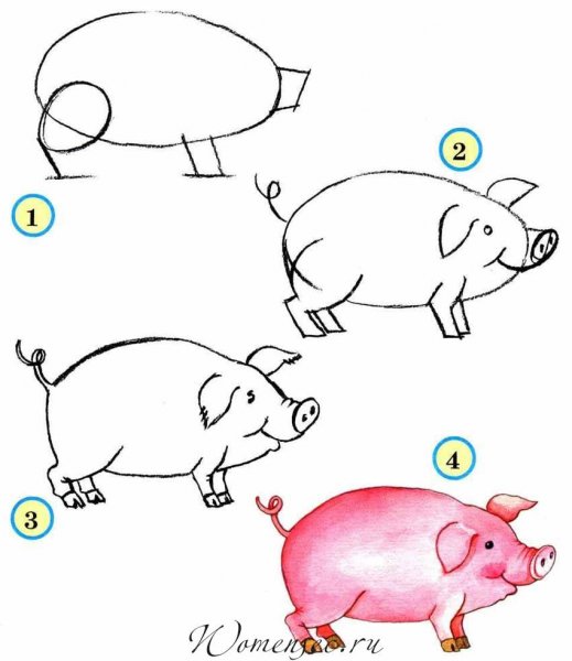 Схемы рисования животных