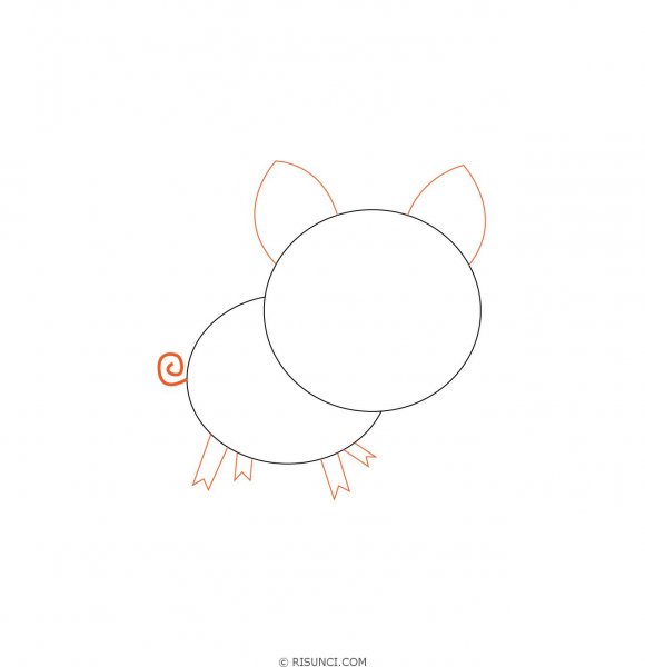 Как нарисовать свинью поэтапно