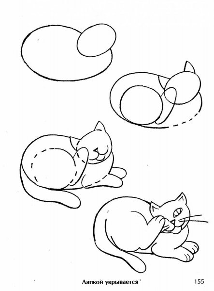 Этапы рисования кошки для дошкольников