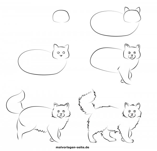 Рисование кота