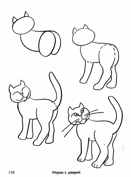 Поэтапный рисунок кошки