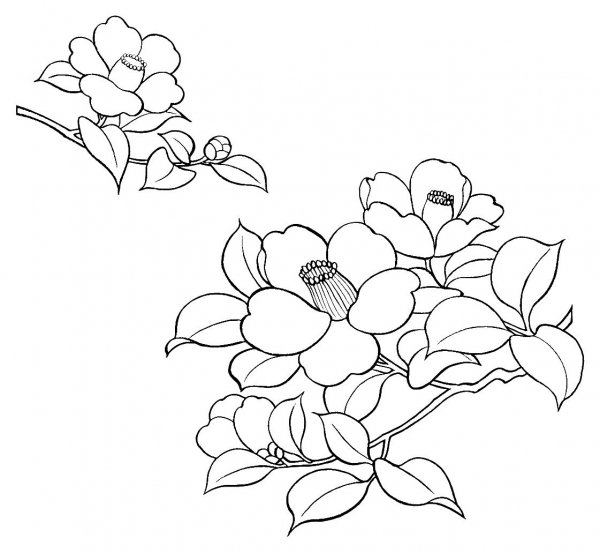 Рисование по точкам цветы