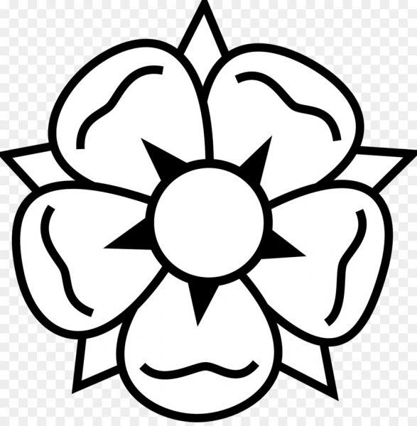 Контур цветов