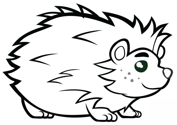 Ёжик раскраска для детей