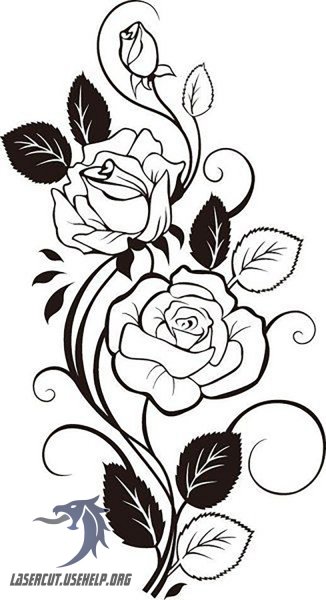 Цфеты с чкрным кон Уром