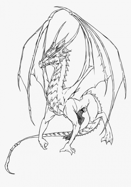 Контурное изображение дракона