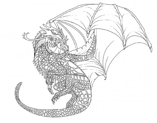 Контурный рисунок дракона легкий