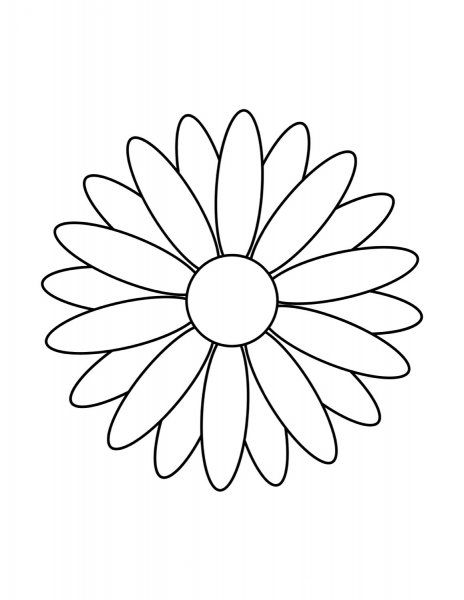 Ромашка раскраска