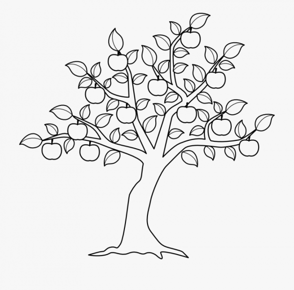 Дерево раскраска для детей