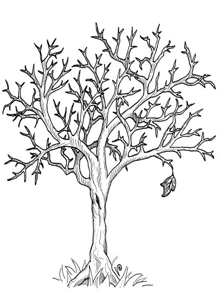 Дерево раскраска для малышей