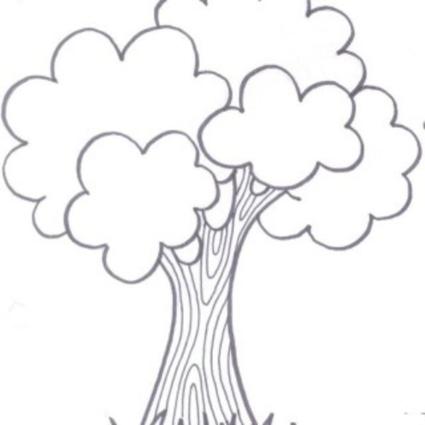 Трафарет дерева без листьев для детей